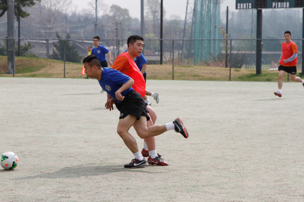 Spieler werden beim Fußballspielen auf einem Feld mit einem Maschendrahtzaun drumherum gezeigt, mit Bäumen, Leitern und Strommasten auf der anderen Seite.