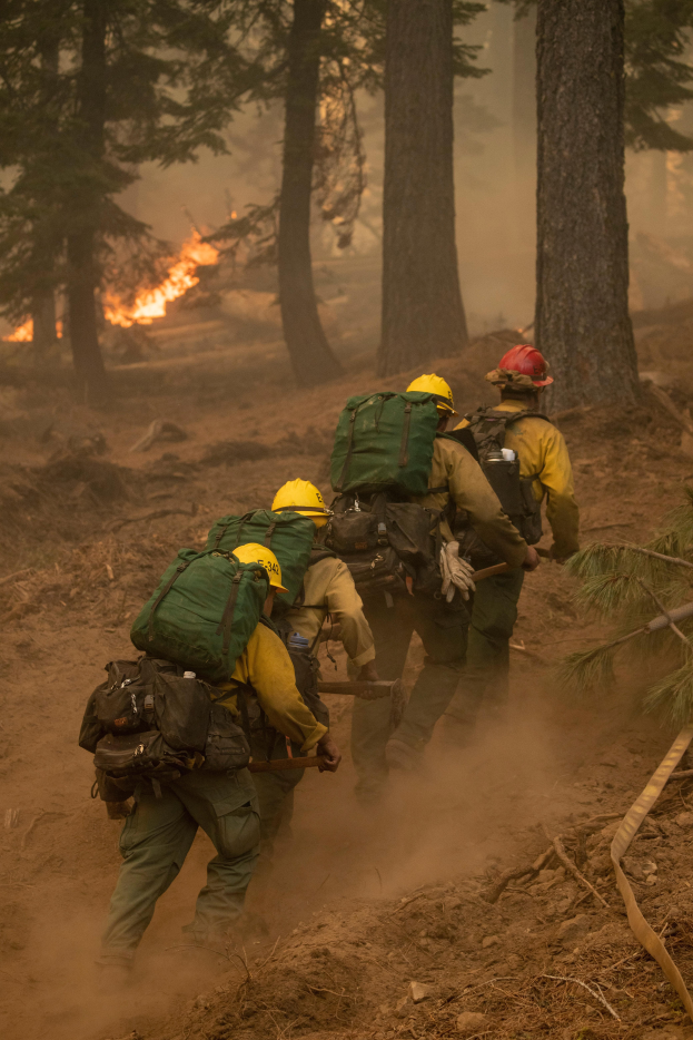 Eine Gruppe von Feuerwehrleuten in Helmen und Rürcksücken geht durch einen Wald, mit einem Feuer in der Ferne.