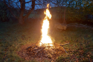Feuer in einer nächtlichen Grasfläche, umgeben von trockenen Blättern und Holzstöcken, mit Bäumen und einem Karren im Hintergrund unter dem sichtbaren Himmel.