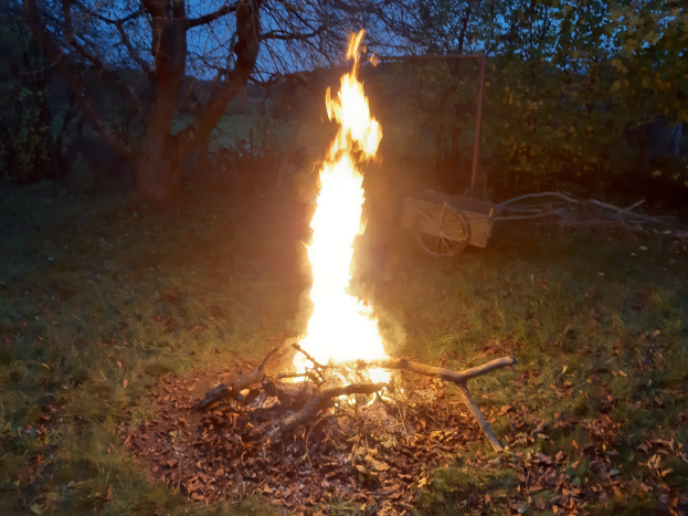 Feuer in einer nächtlichen Grasfläche, umgeben von trockenen Blättern und Holzstöcken, mit Bäumen und einem Karren im Hintergrund unter dem sichtbaren Himmel.