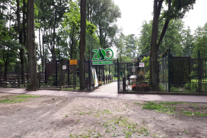 Einfahrt zu einem Zoo mit einem "Zoo"-Schild, umgeben von einem Metallzaun, Bäumen, blühenden Pflanzen, einem Straßenpfahl und einem bewölkten Himmel.