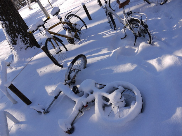 Eine Reihe von Fahrrädern, die teilweise im Schnee versunken neben einem Baumstamm und einer Straße stehen.