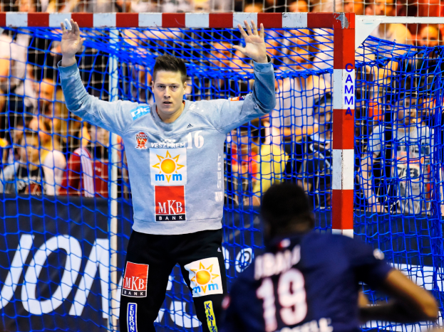 Ein Handballspieler steht vor einem Tor mit erhobenen Händen, umgeben von Zuschauern, mit einem Banner "Futsal-Weltmeisterschaft 2019" und Netz im Vordergrund.