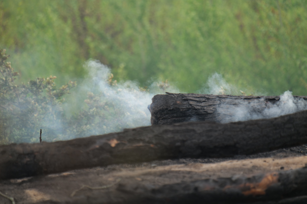 FW-SG: Waldbrand in Solingen