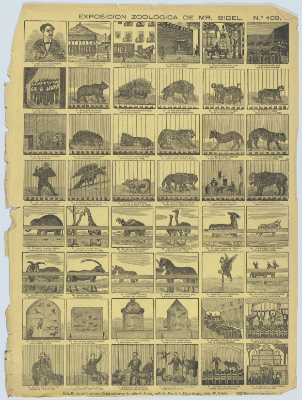 Ein altes Buchcover mit Illustrationen von einem Löwen, Giraffe, Zebra, Affe und Hippo, zusammen mit Menschen in traditioneller Kleidung, die die Tiere beobachten, mit zugehörigem Text.