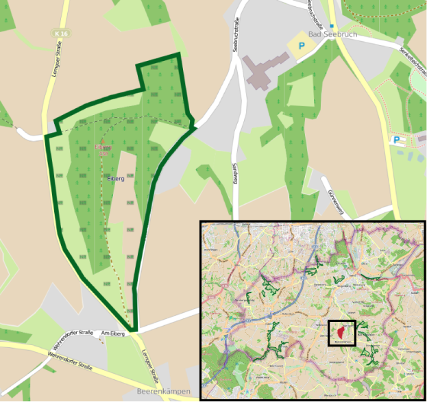 Ein detaillierter Stadtplan mit einem grünen zentralen Bereich, der wahrscheinlich ein vorgeschlagener Entwicklungsstandort ist, umgeben von Straßen, Gebäuden und Sehenswürdigkeiten, mit beschreibendem Text unten.