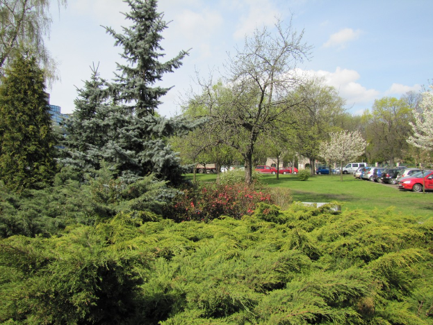 Ein Park mit Bäumen, Pflanzen, Gras und Blumen, mit Autos auf dem Parkplatz und Gebäuden im Hintergrund unter einem bewölkten Himmel.