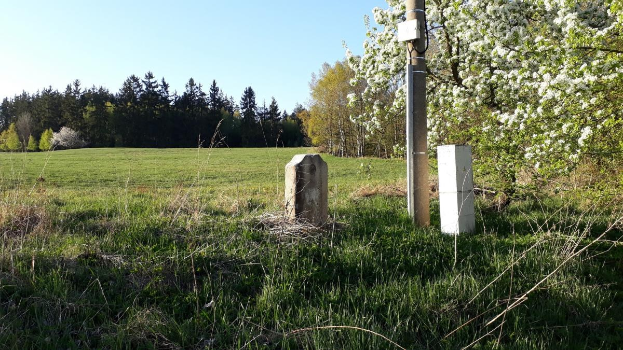 Eine grüne Wiese mit einem zentralen Baum, umgeben von anderen Bäumen unter einem klaren blauen Himmel, mit einem Pfahl und zwei Betonblöcken im Vordergrund, möglicherweise Teil eines Denkmals.