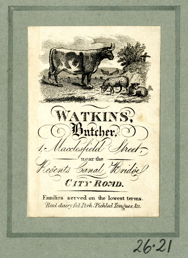 Ein altes Buchcover mit einer Kuh, die in einer grünen Wiese mit Bäumen im Hintergrund steht, begleitet von zwei Schafen, die die Kuh anschauen, mit der Aufschrift "Watkins, Metzger, Macclesfield Street".