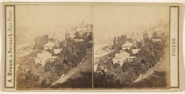 Ein altes Schwarz-Weiß-Foto einer Stadt mit hohen, grünen Bäumen im Vordergrund und Gebäuden im Hintergrund.