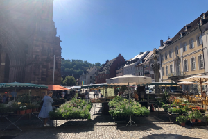 Ein belebter Markt im Heidelberger Altstadt mit Menschen, Tischen voller Blumentöpfe, Schirmen und Gebäuden im Hintergrund unter einem klaren blauen Himmel.