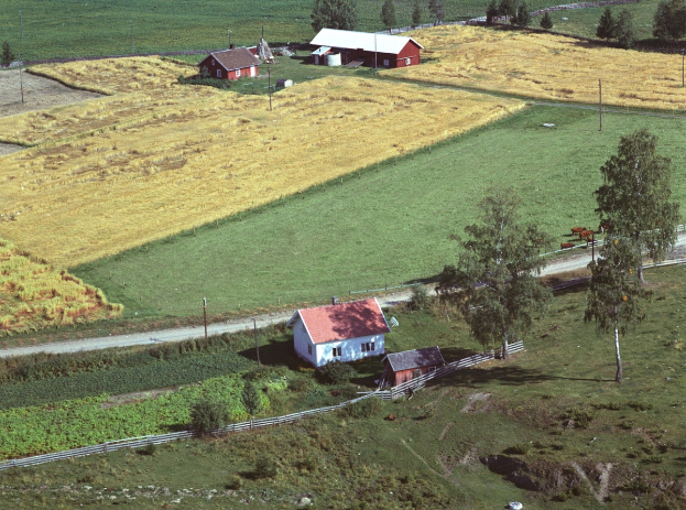 Eine Luftaufnahme eines Hofes in einer grünen Wiese, umgeben von Häusern, Bäumen, Pflanzen, Gras, einem Zaun und Pfählen, gelegen in den Ausläufern mit üppiger Vegetation.