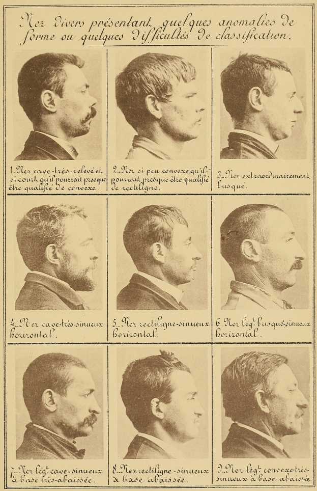Ein altes Buch mit Abbildungen verschiedener Männergesichter, jedes zeigt eine andere Frisur, mit begleitendem Text, der die Frisuren beschreibt.