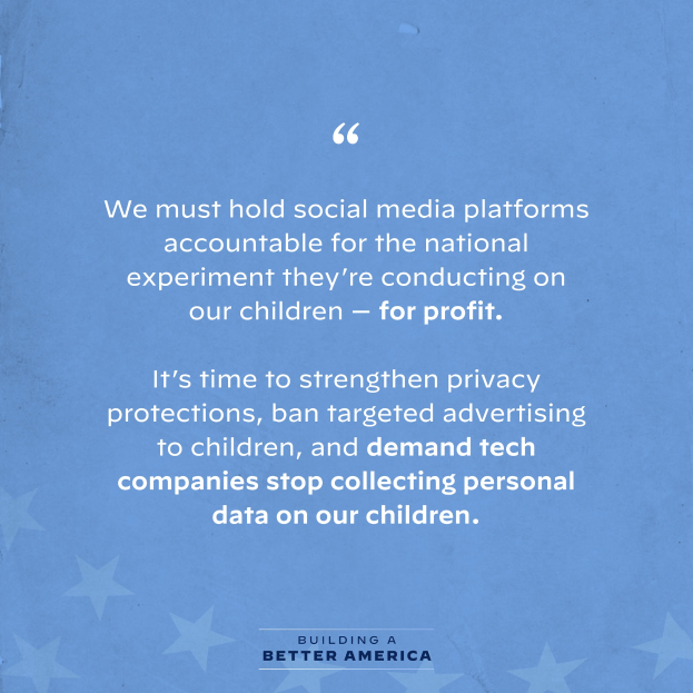Ein Plakat mit einem Zitat aus "Building a Better America", das besagt: "Wir müssen soziale Medien-Plattformen für das nationale Experiment zur Rechenschaft ziehen, das sie an unseren Kindern durchführen - zum Profit.", geschmückt mit Sternen.